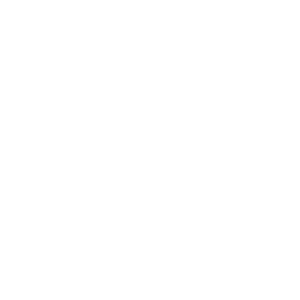 timestone-logo